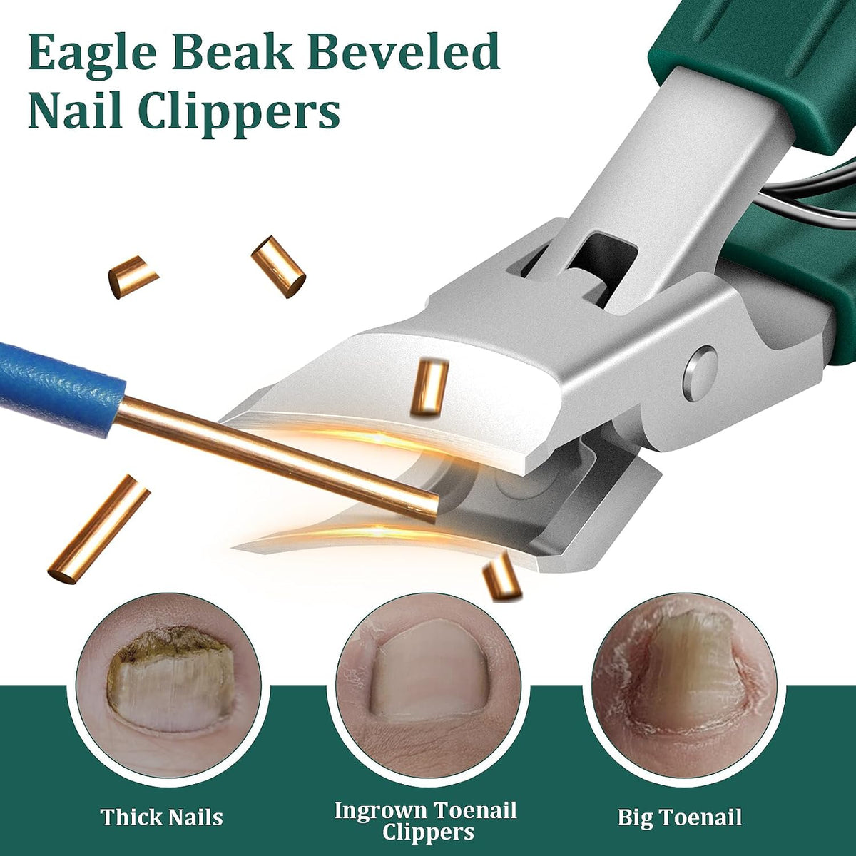 Eagle Beak Beveled Nail Clippers, for Ingrown Toenails and Thick Nails