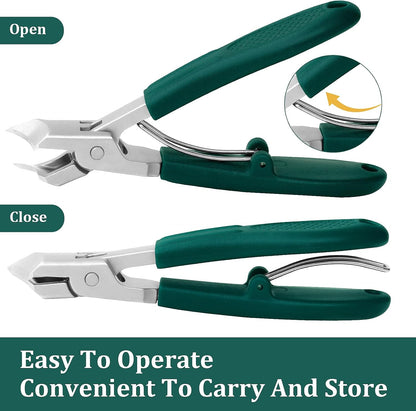Eagle Beak Beveled Nail Clippers, for Ingrown Toenails and Thick Nails
