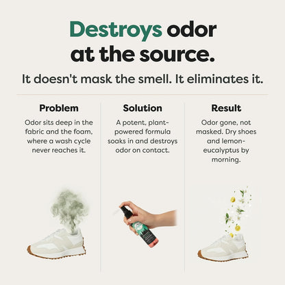 Lumi Outdoors Natural Shoe Deodorizer Spray & Odor Eliminator - Fresh Citrus Tea Tree Essential Oil Odor Eater