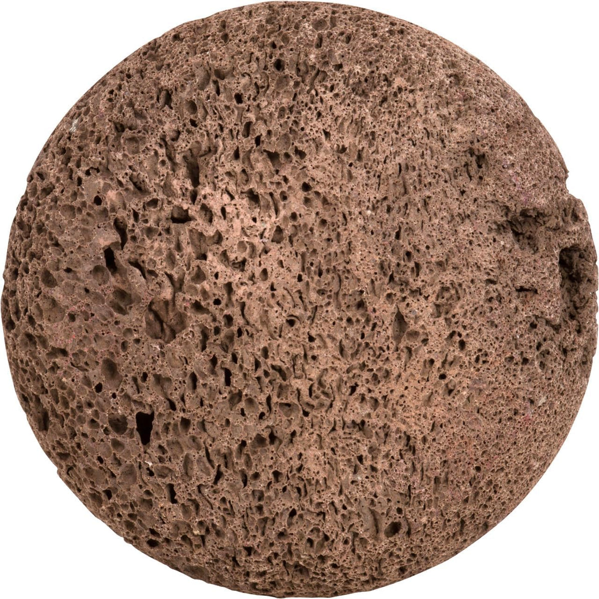 CALA Lava Pumice Stone for Men, Exfoliates and Smoothes Rough Skin, Natural Volcanic Stone for Calluses and Dry Skin