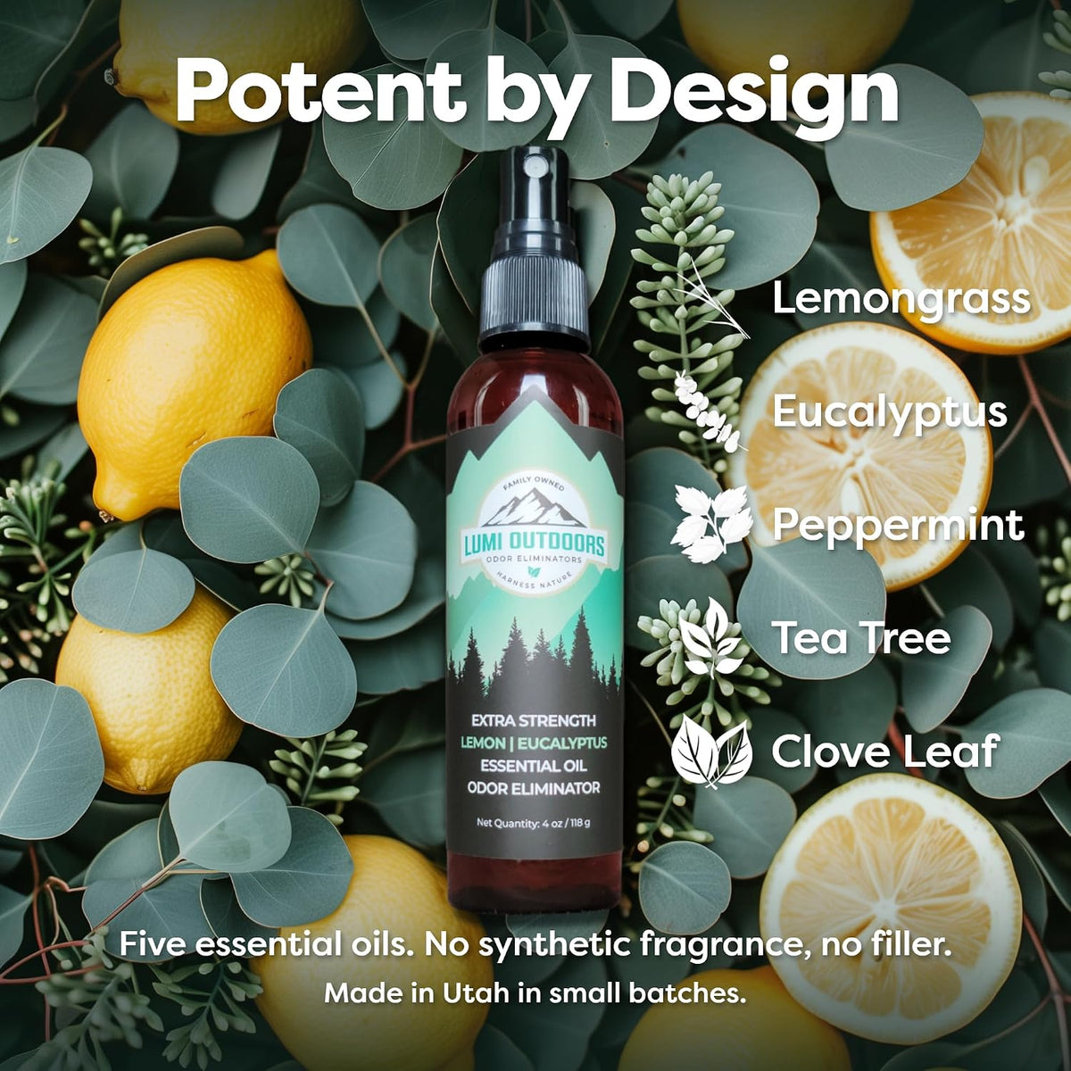 Lumi Outdoors Natural Shoe Deodorizer Spray 3 Pack Bundle - Lemon Eucalyptus, Citrus Tea Tree, Lavender Tea Tree