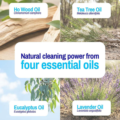 Vapor Fresh Shoe Deodorizer Spray, Eucalyptus Lavender, 4oz (1 Pack)