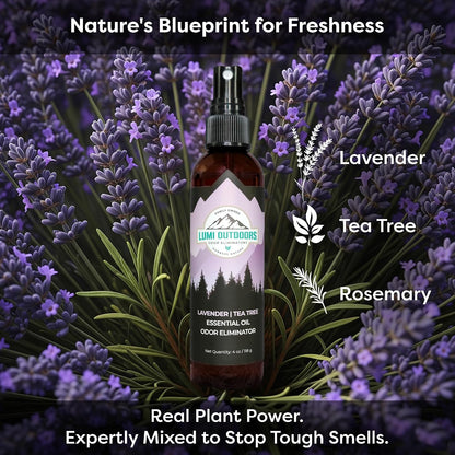 Lumi Outdoors Natural Shoe Deodorizer Spray 3 Pack Bundle - Lemon Eucalyptus, Citrus Tea Tree, Lavender Tea Tree